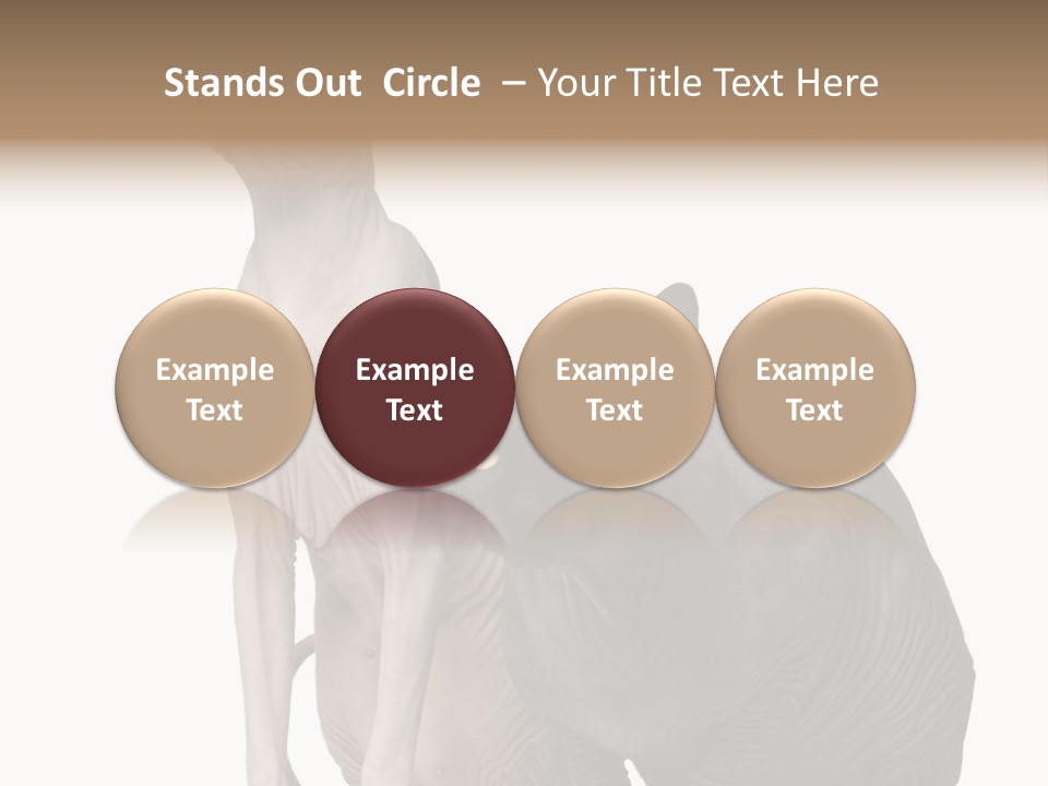 Indoors Foreground Low PowerPoint Template