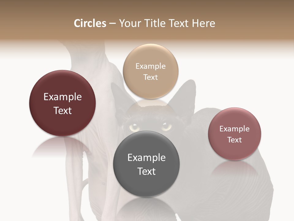 Indoors Foreground Low PowerPoint Template