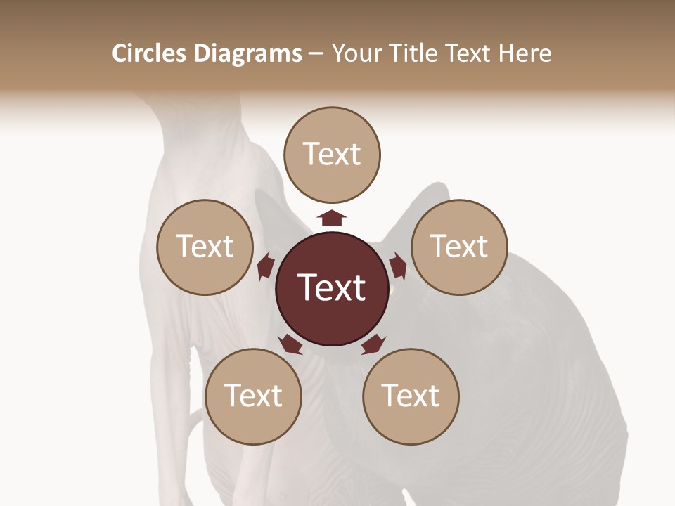 Indoors Foreground Low PowerPoint Template