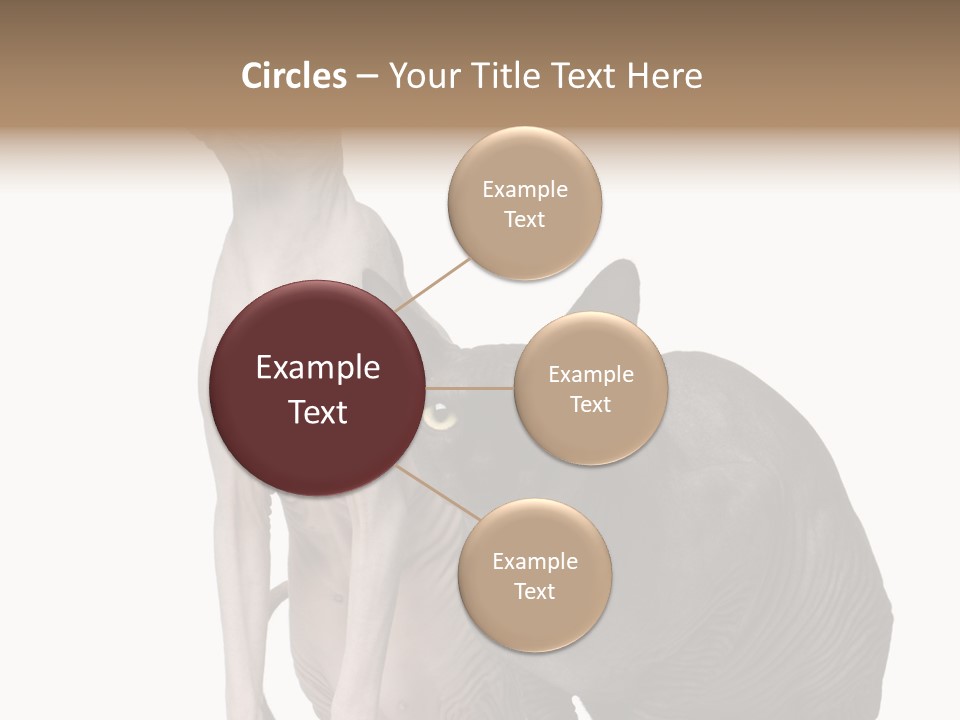 Indoors Foreground Low PowerPoint Template