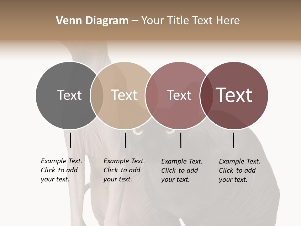 Indoors Foreground Low PowerPoint Template