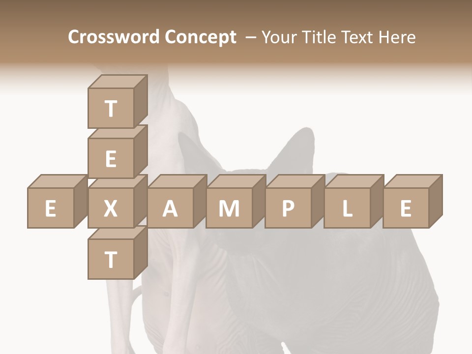 Indoors Foreground Low PowerPoint Template