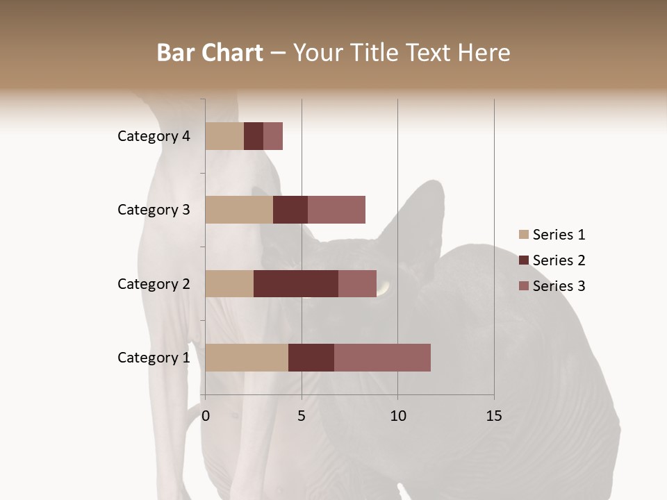 Indoors Foreground Low PowerPoint Template