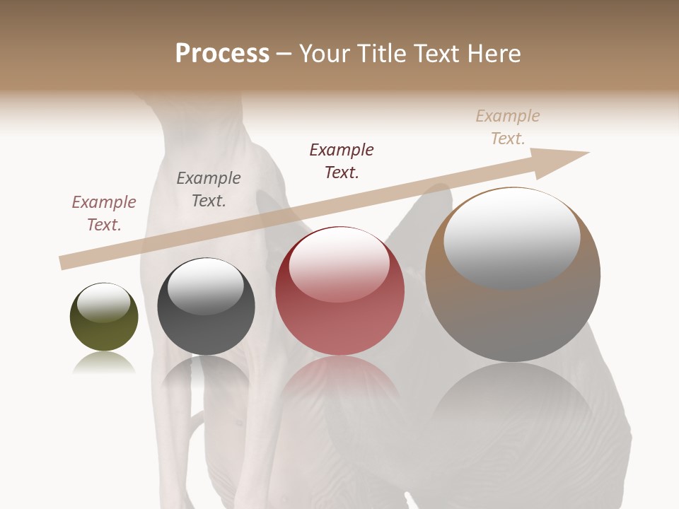 Indoors Foreground Low PowerPoint Template