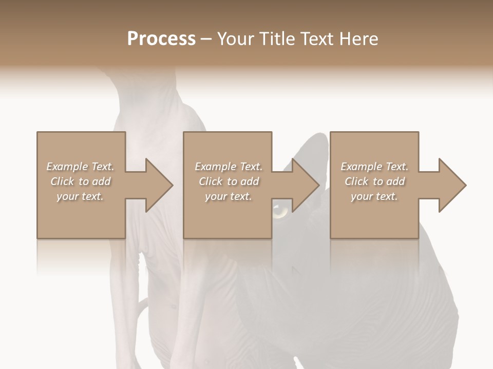 Indoors Foreground Low PowerPoint Template