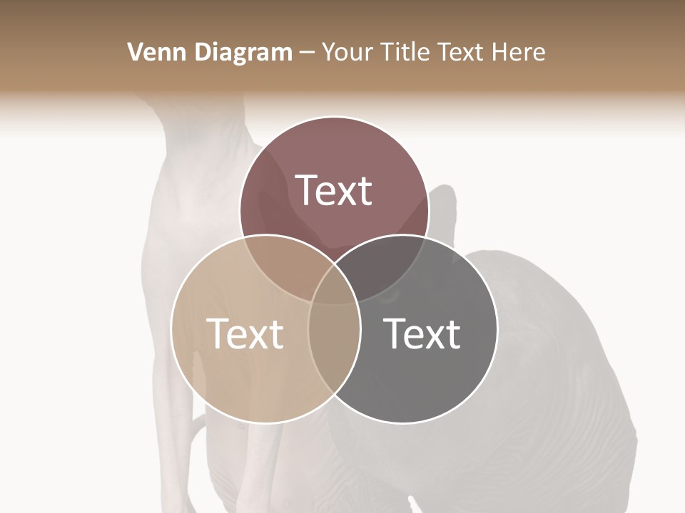 Indoors Foreground Low PowerPoint Template