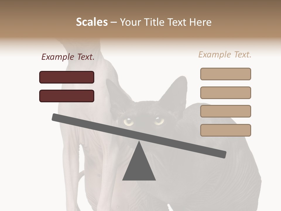 Indoors Foreground Low PowerPoint Template