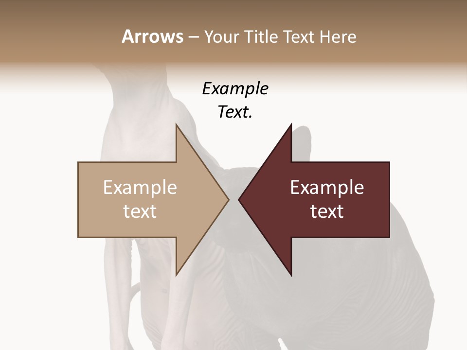 Indoors Foreground Low PowerPoint Template