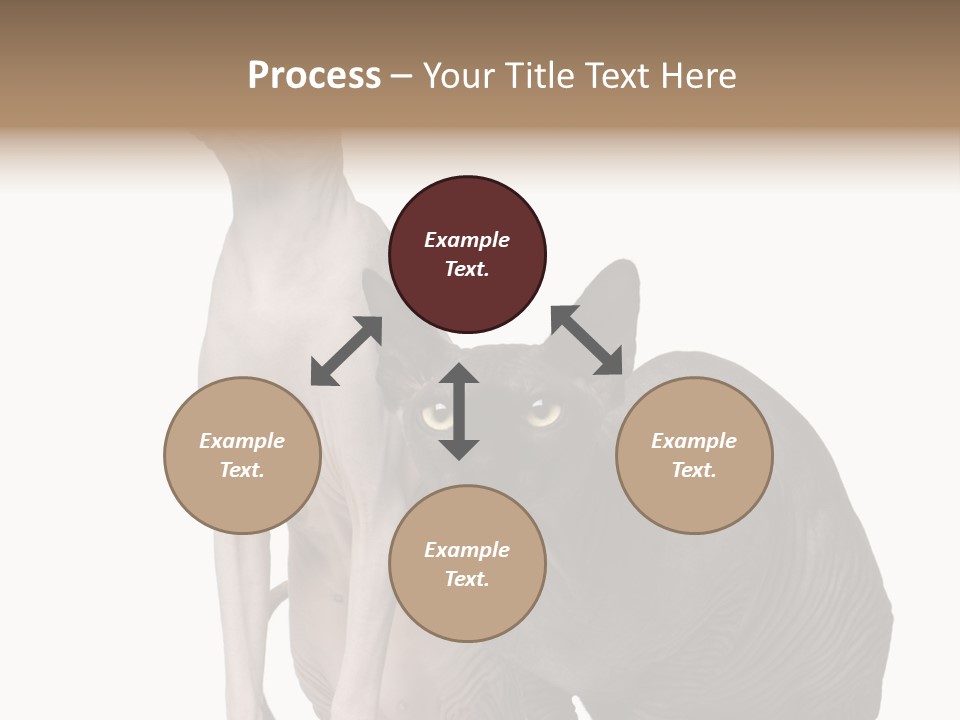 Indoors Foreground Low PowerPoint Template