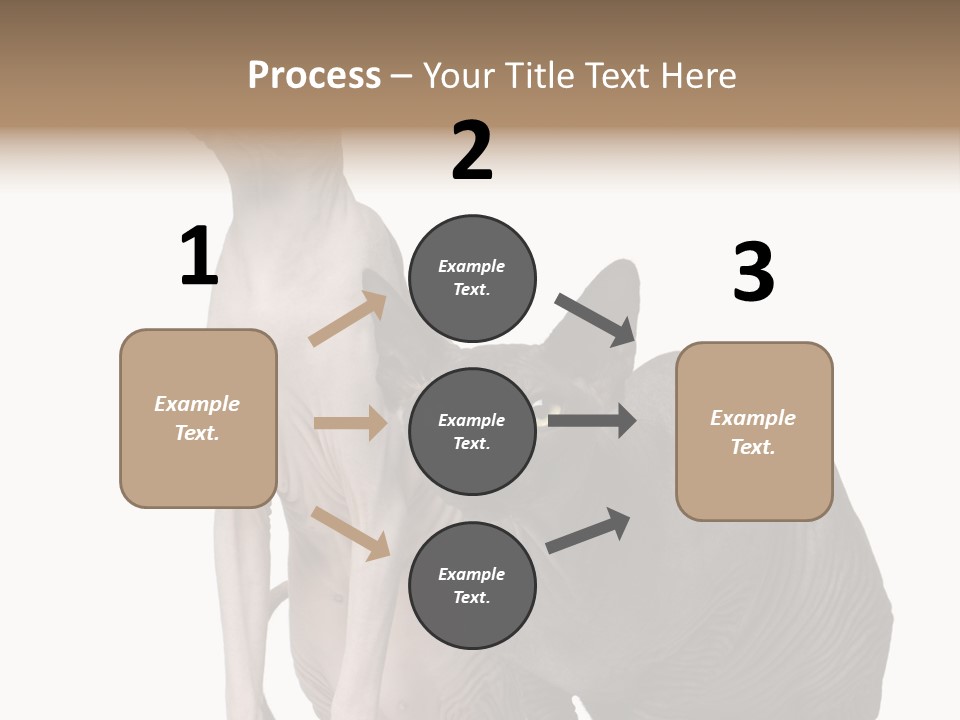 Indoors Foreground Low PowerPoint Template