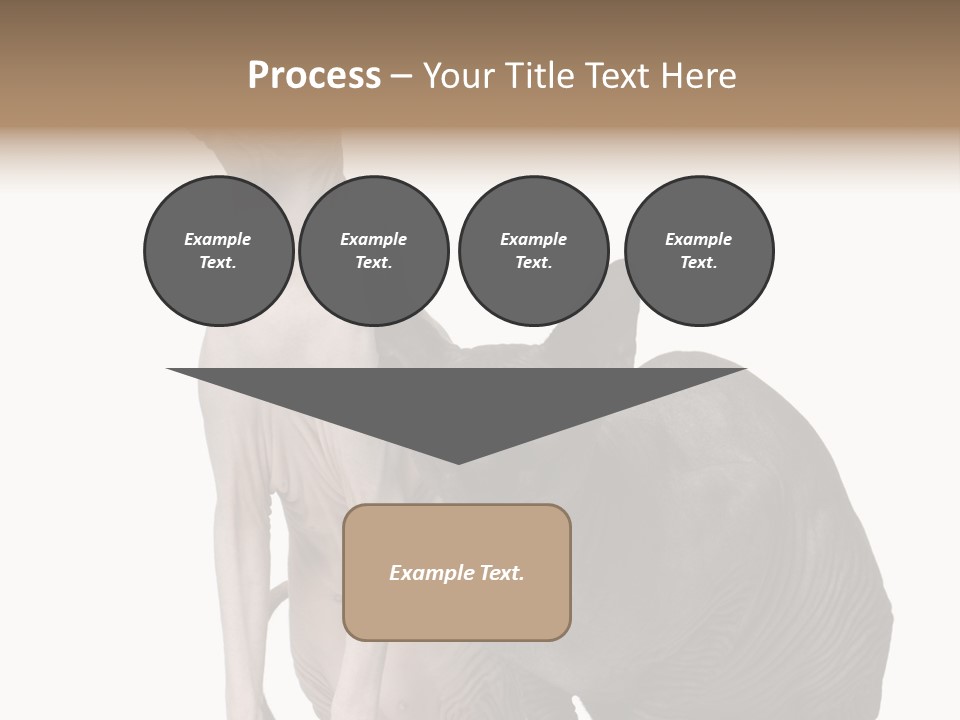 Indoors Foreground Low PowerPoint Template