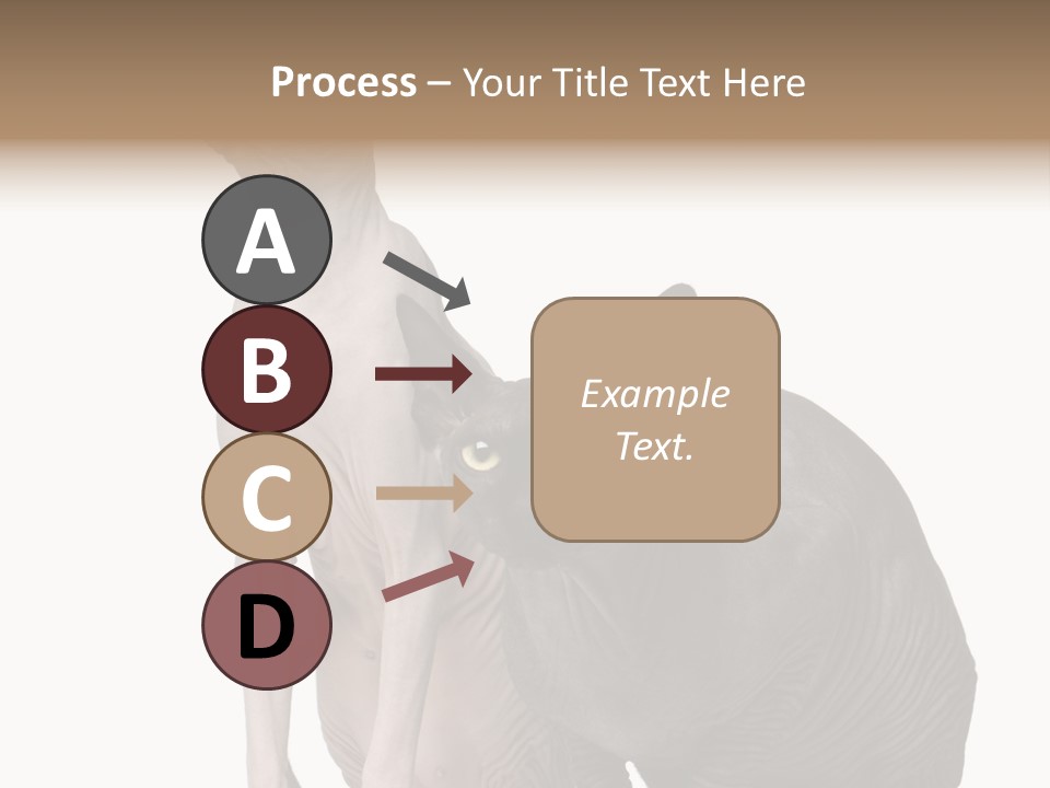Indoors Foreground Low PowerPoint Template