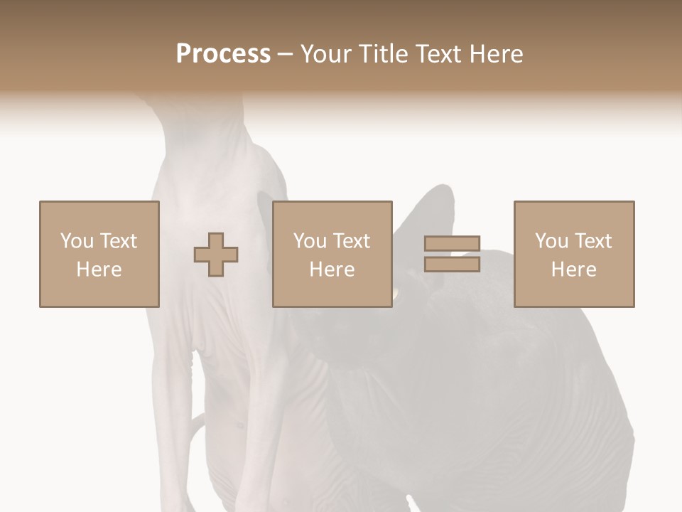Indoors Foreground Low PowerPoint Template