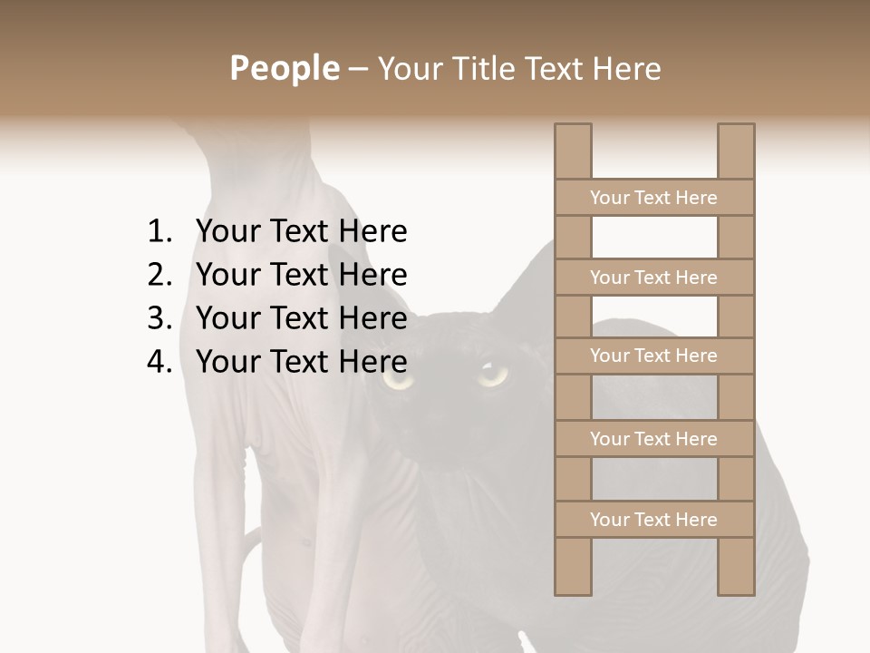 Indoors Foreground Low PowerPoint Template
