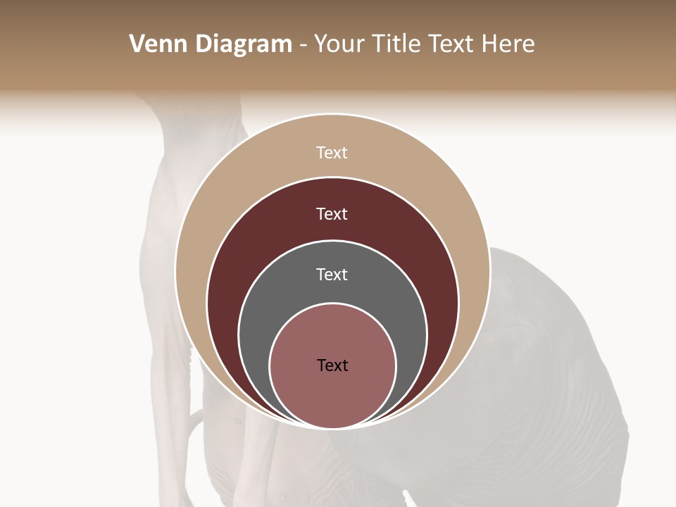 Indoors Foreground Low PowerPoint Template