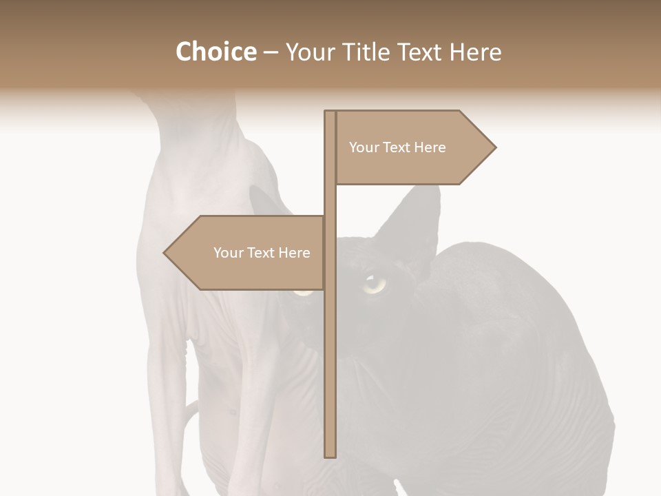 Indoors Foreground Low PowerPoint Template