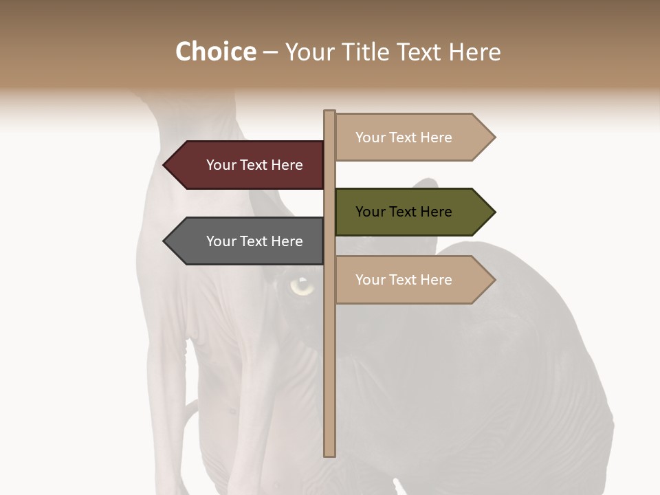 Indoors Foreground Low PowerPoint Template
