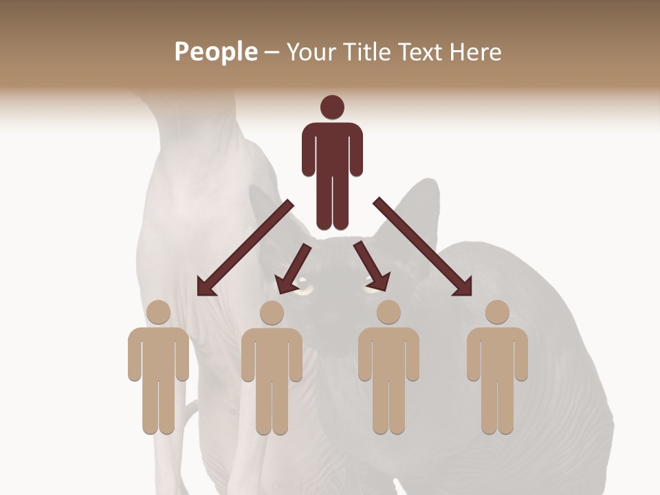 Indoors Foreground Low PowerPoint Template