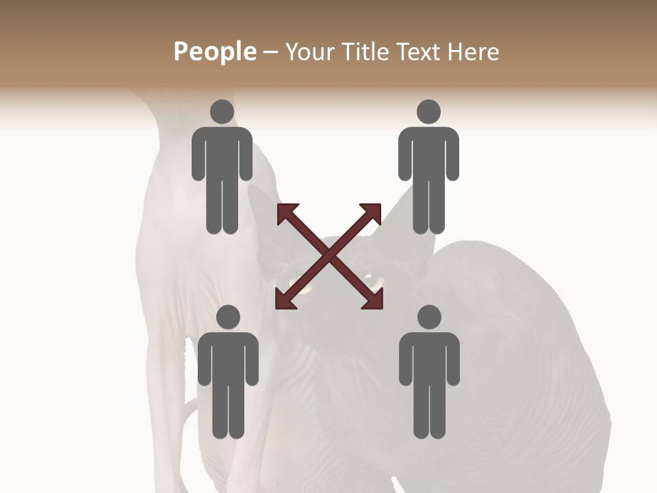 Indoors Foreground Low PowerPoint Template