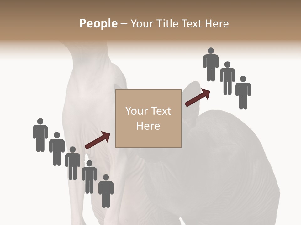 Indoors Foreground Low PowerPoint Template