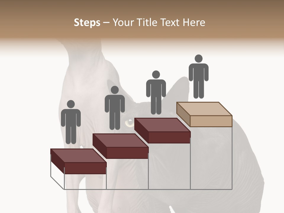 Indoors Foreground Low PowerPoint Template