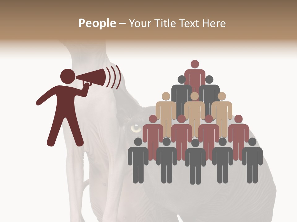 Indoors Foreground Low PowerPoint Template