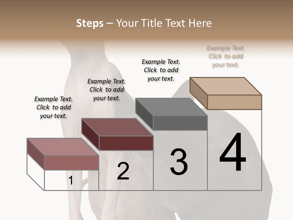 Indoors Foreground Low PowerPoint Template