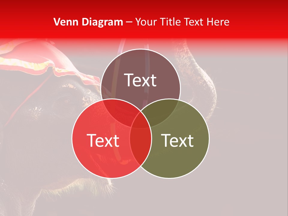 Tool Building Remodel PowerPoint Template