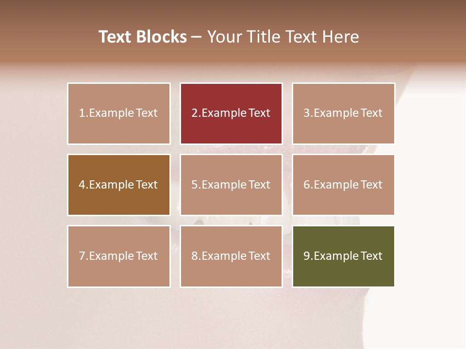 A Woman's Smile With A Missing Tooth PowerPoint Template