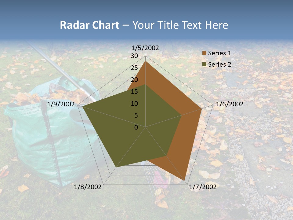 Fall Bag Orange PowerPoint Template