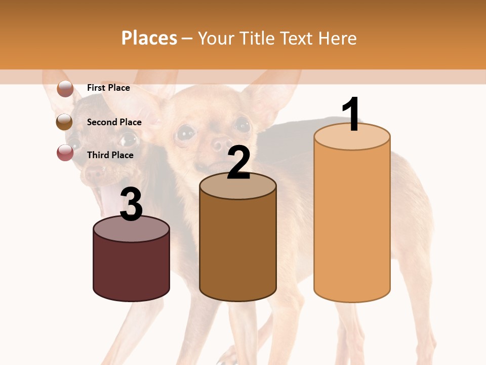 Two Small Dogs Standing Next To Each Other PowerPoint Template