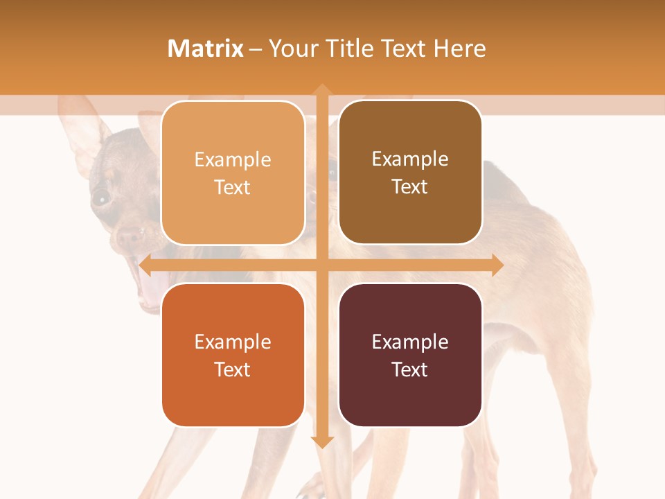 Two Small Dogs Standing Next To Each Other PowerPoint Template