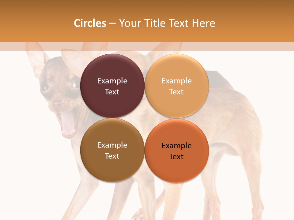 Two Small Dogs Standing Next To Each Other PowerPoint Template