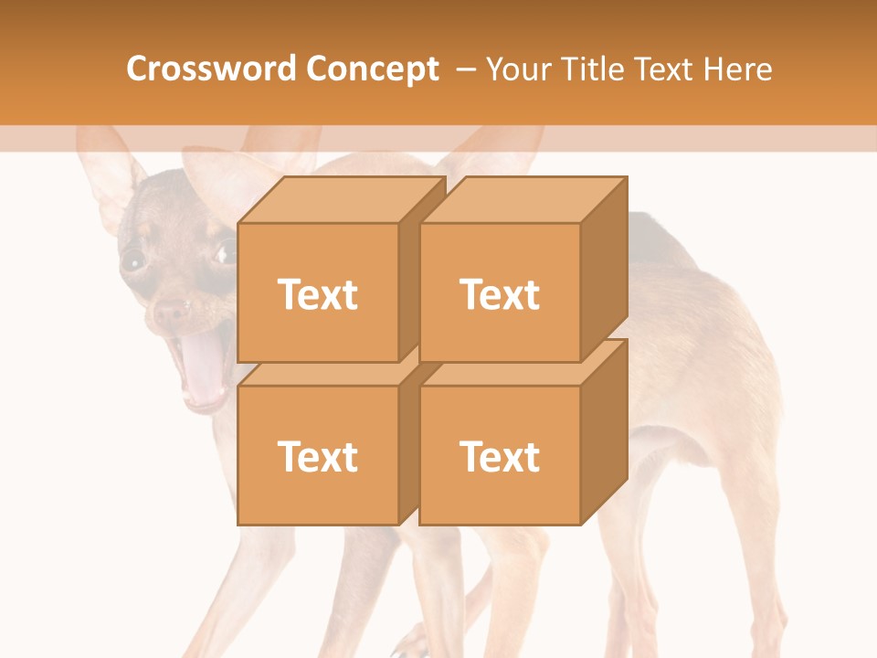 Two Small Dogs Standing Next To Each Other PowerPoint Template