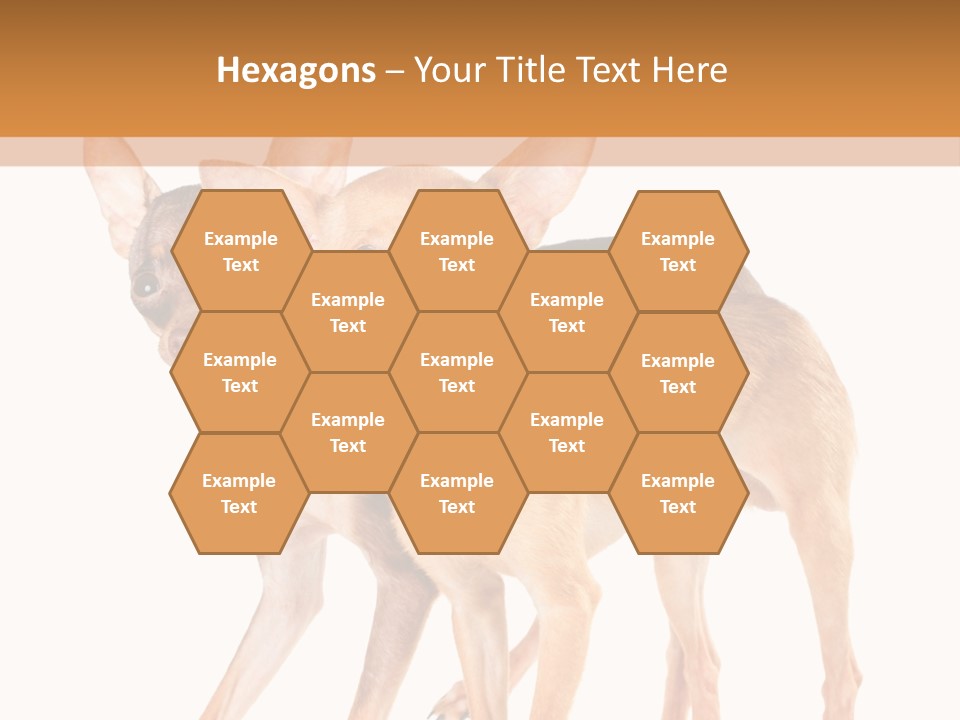 Two Small Dogs Standing Next To Each Other PowerPoint Template