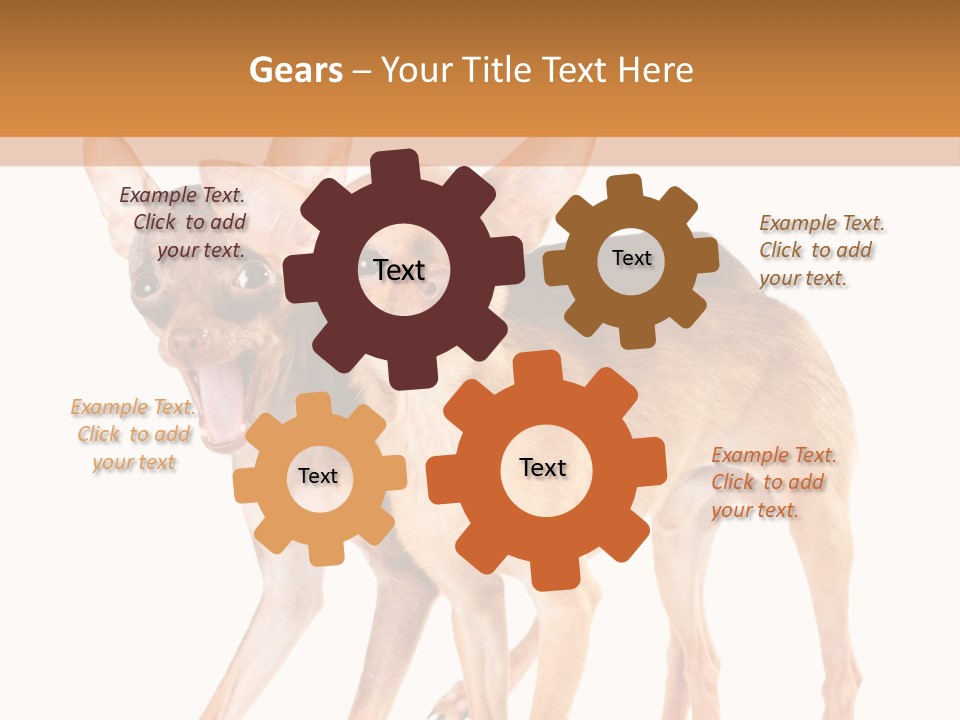 Two Small Dogs Standing Next To Each Other PowerPoint Template