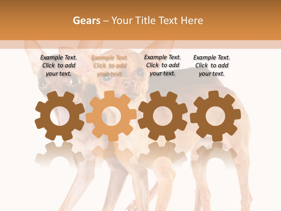 Two Small Dogs Standing Next To Each Other PowerPoint Template