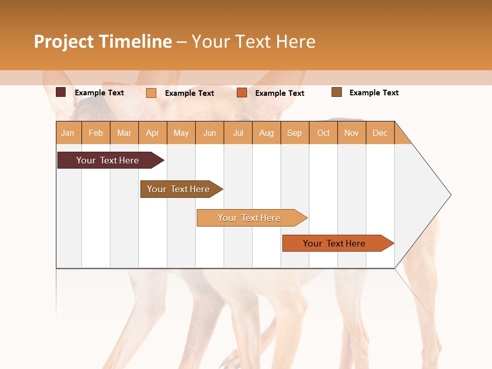 Two Small Dogs Standing Next To Each Other PowerPoint Template