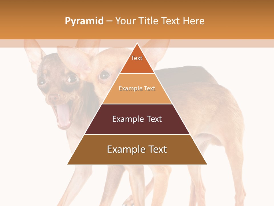 Two Small Dogs Standing Next To Each Other PowerPoint Template