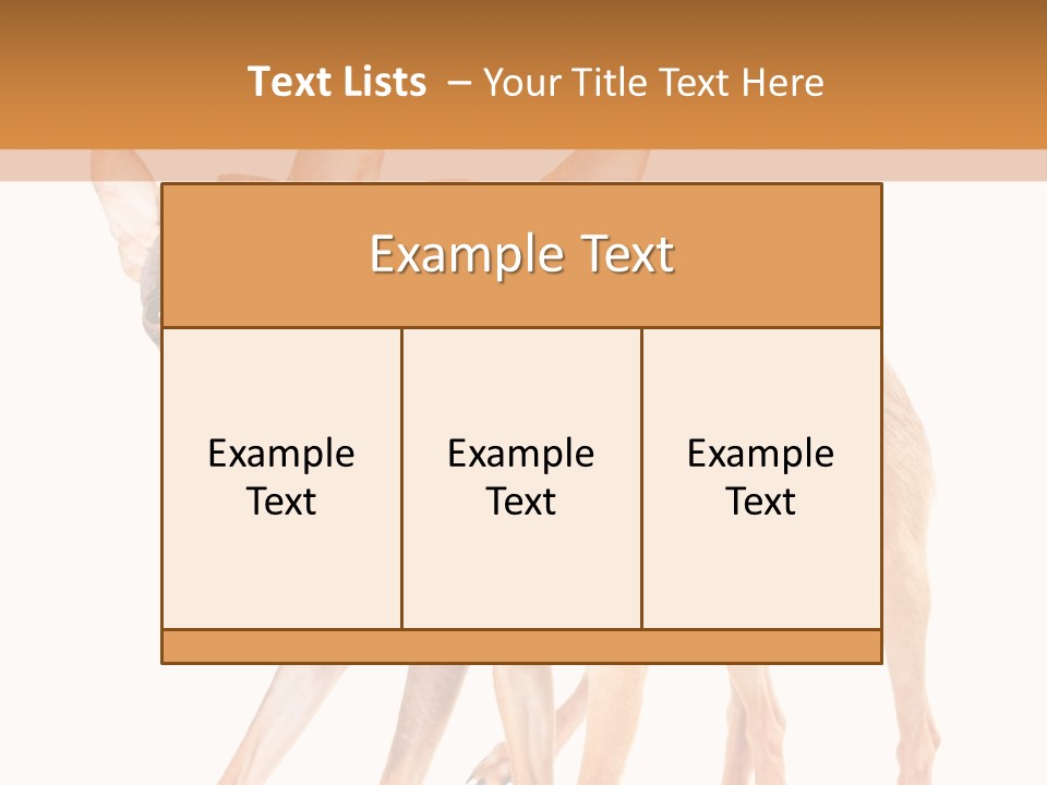 Two Small Dogs Standing Next To Each Other PowerPoint Template