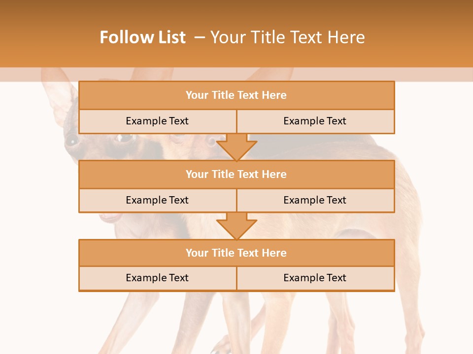 Two Small Dogs Standing Next To Each Other PowerPoint Template