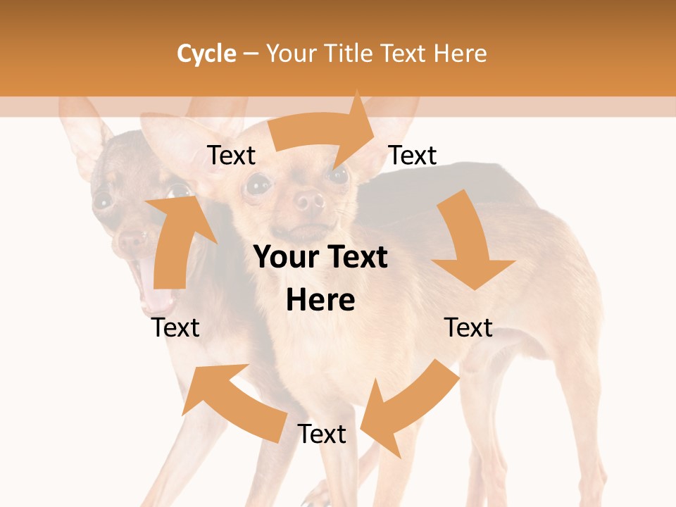 Two Small Dogs Standing Next To Each Other PowerPoint Template