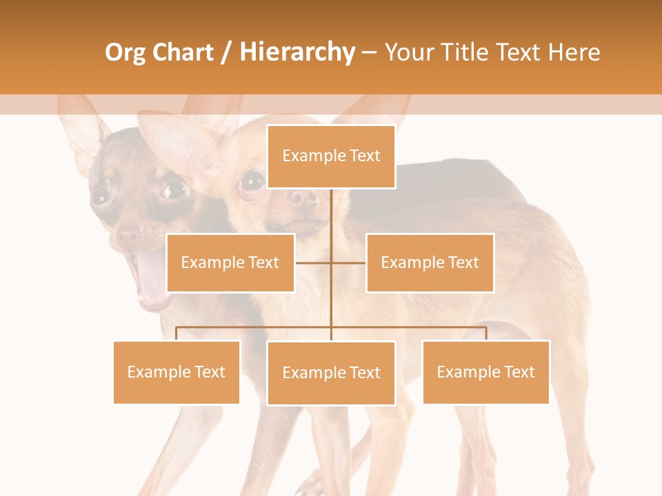 Two Small Dogs Standing Next To Each Other PowerPoint Template