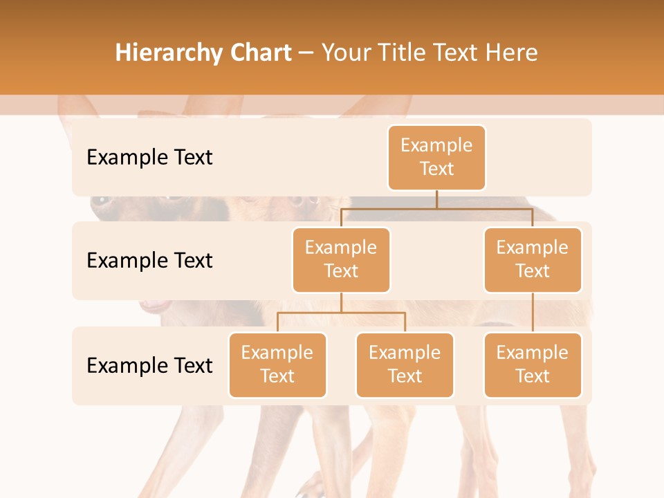 Two Small Dogs Standing Next To Each Other PowerPoint Template