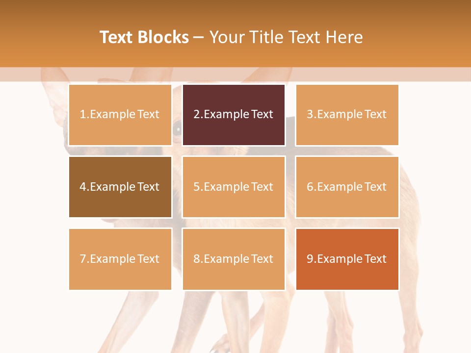 Two Small Dogs Standing Next To Each Other PowerPoint Template