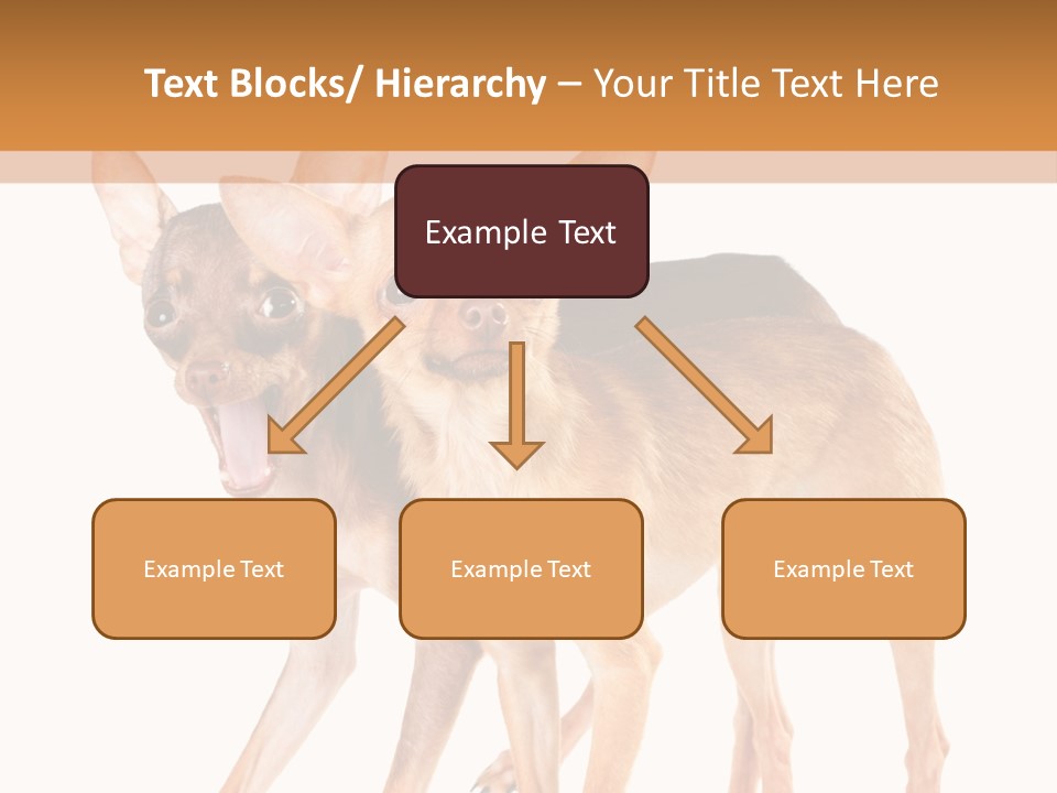 Two Small Dogs Standing Next To Each Other PowerPoint Template
