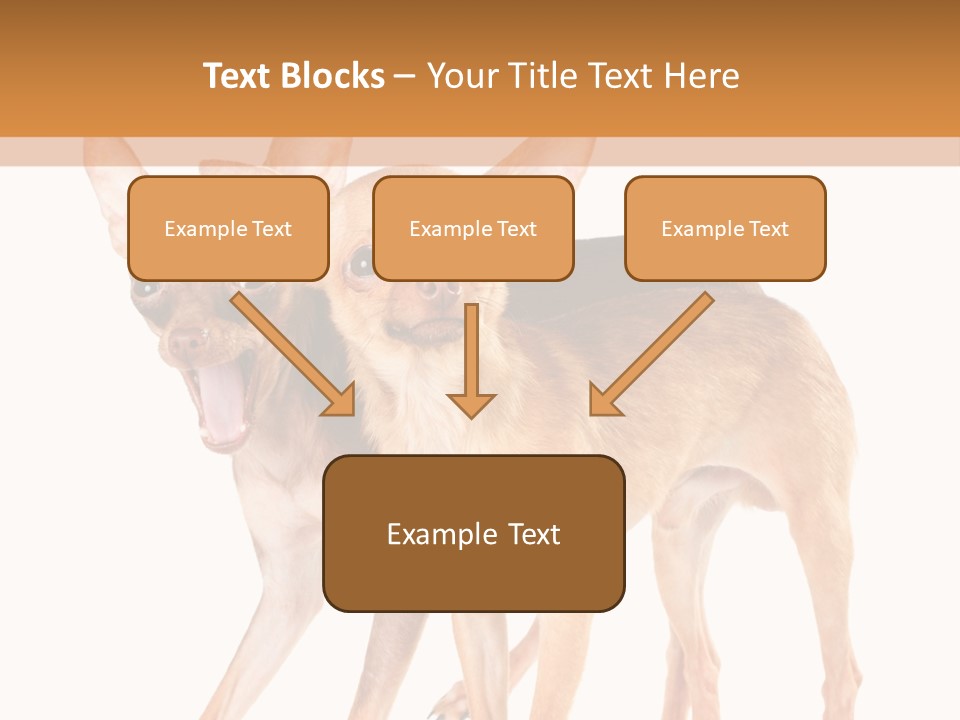 Two Small Dogs Standing Next To Each Other PowerPoint Template