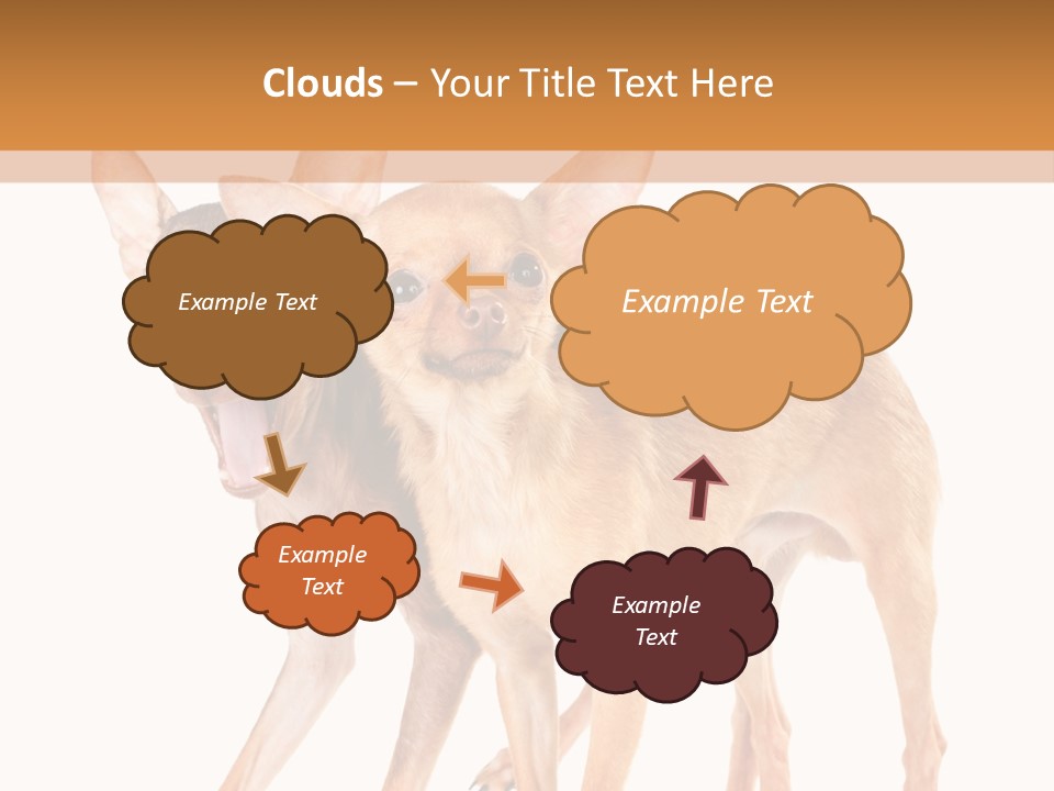 Two Small Dogs Standing Next To Each Other PowerPoint Template
