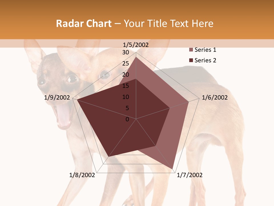 Two Small Dogs Standing Next To Each Other PowerPoint Template