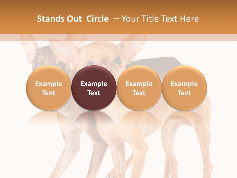 Two Small Dogs Standing Next To Each Other PowerPoint Template